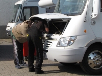 schraubertreffen09.jpg