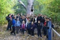 Für größeres Bild bitte klicken!