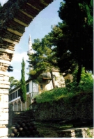 ali-pascha.jpg