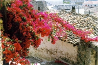 nafpaktos-1.jpg
