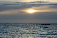 (00044)_img_5687_dri.jpg