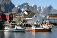 (00077)_img_5868.jpg
