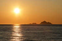 img_5579_dri.jpg